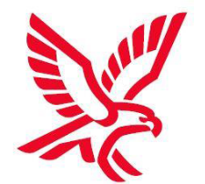 Falck Online Learning Domain